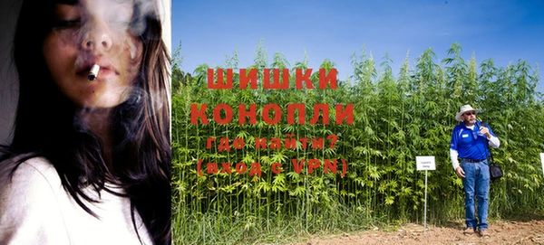 таблы Волоколамск