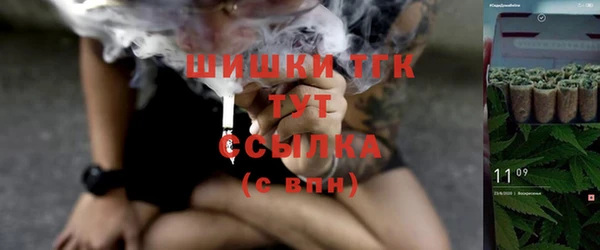 прущие крисы Зеленокумск